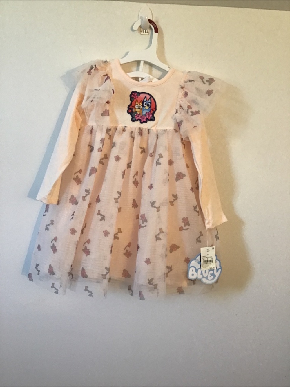 Toddler Girls Bluey Floral Long Sleeve Tulle Dress  Size 3T